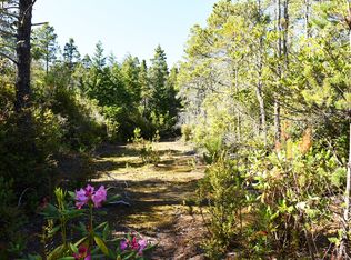 Tom Smith Rd, Bandon, OR 97411