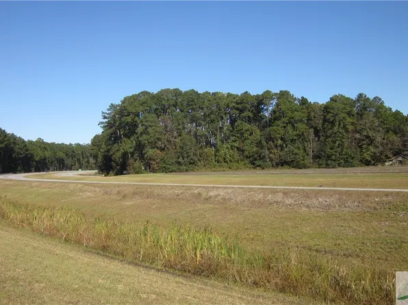 0 21 Highway, Springfield, GA 31329
