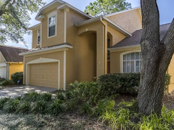 9406 Oak Meadow Ct, Tampa, FL 33647