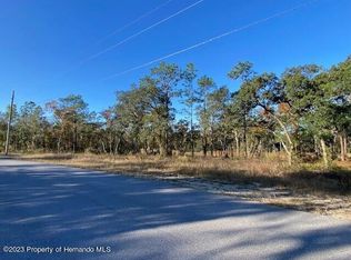 15485 Mount Sparrow Rd, Weeki Wachee, FL 34614