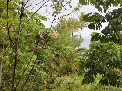 Kaehukai St, Pahoa, HI, 96778