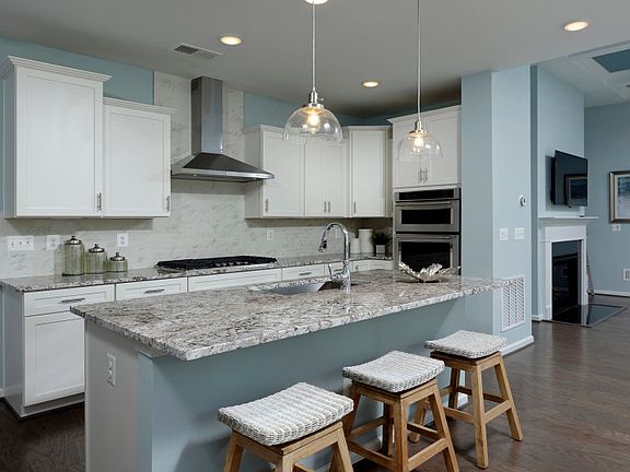 Beautiful Gourmet Kitchen with White Cabinetry