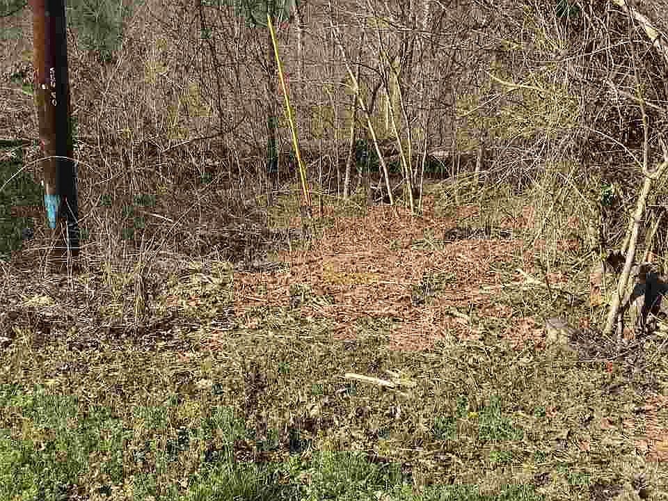 2nd image of 1175 Cherry Blossom Ln