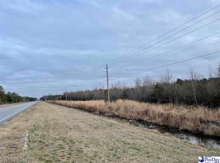 28/ACRE Highway 9 S, Wallace, SC 29596