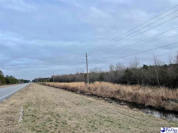 28/ACRE Highway 9 S, Wallace, SC 29596