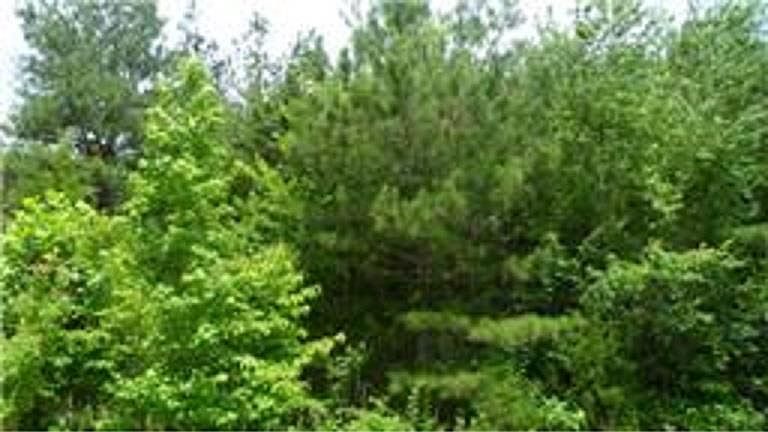 1st image of Cliff Dr