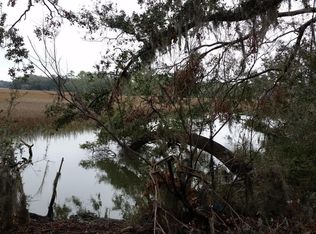 44 Vineyard Point Rd, Saint Helena Island, SC 29920