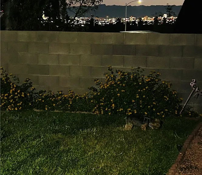 1371 Aultman Ct — Photo 22