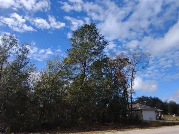 0 Malauka Radial Pl #5, Ocklawaha, FL 32179