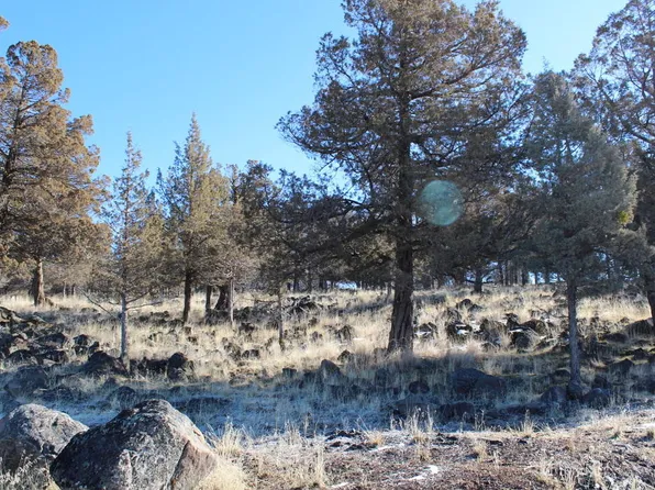 LOT 1214 Fox Sparrow Dr Lot 1214, Klamath Falls, OR 97601