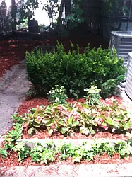 Rented by Urban Pads