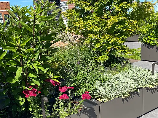 Sold by Corcoran | media 19