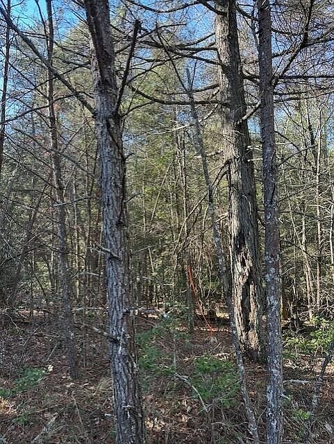 1st image of 5 50th Ave