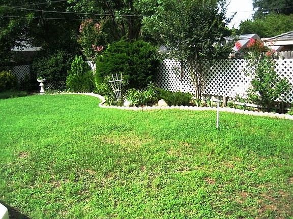 backyard photo #1