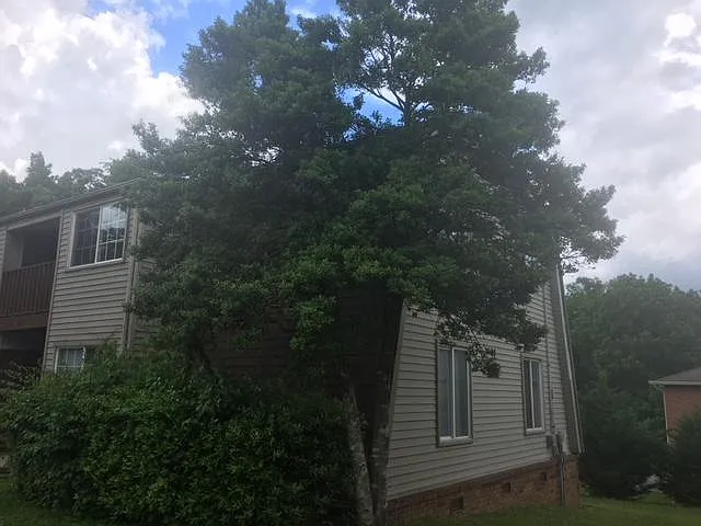 2 bed, 895 sqft, $795 — Photo 1