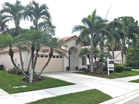 Beautiful Palm Trees