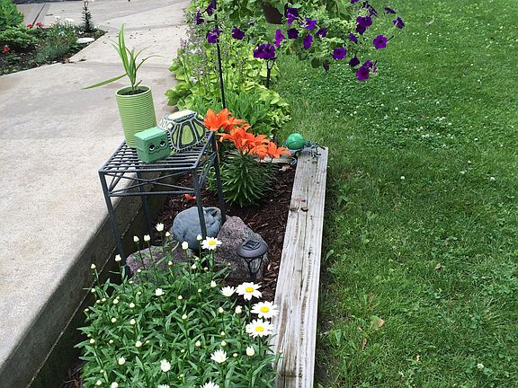 beautiful flower all over yard