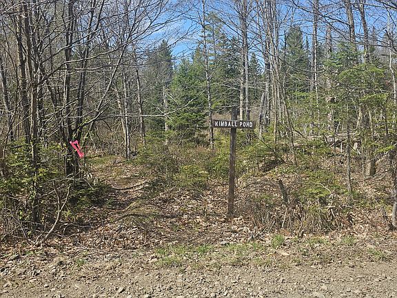 4th image of 15 Ritchie Lane