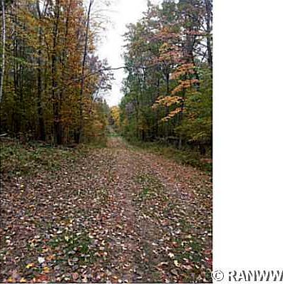 5th image of Lot 0 Hwy M
