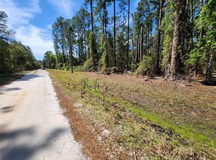 114 Mosswood St #185, Georgetown, FL 32139