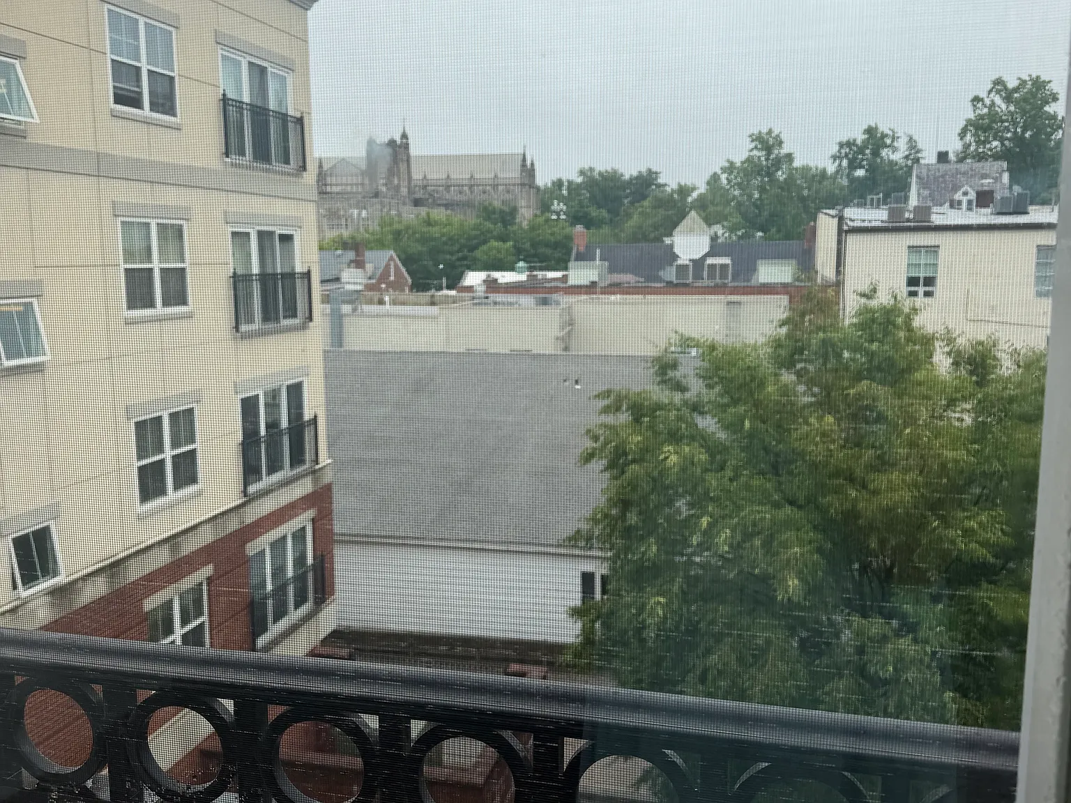 2 bed, 1200 sqft, $3,900 — Photo 4