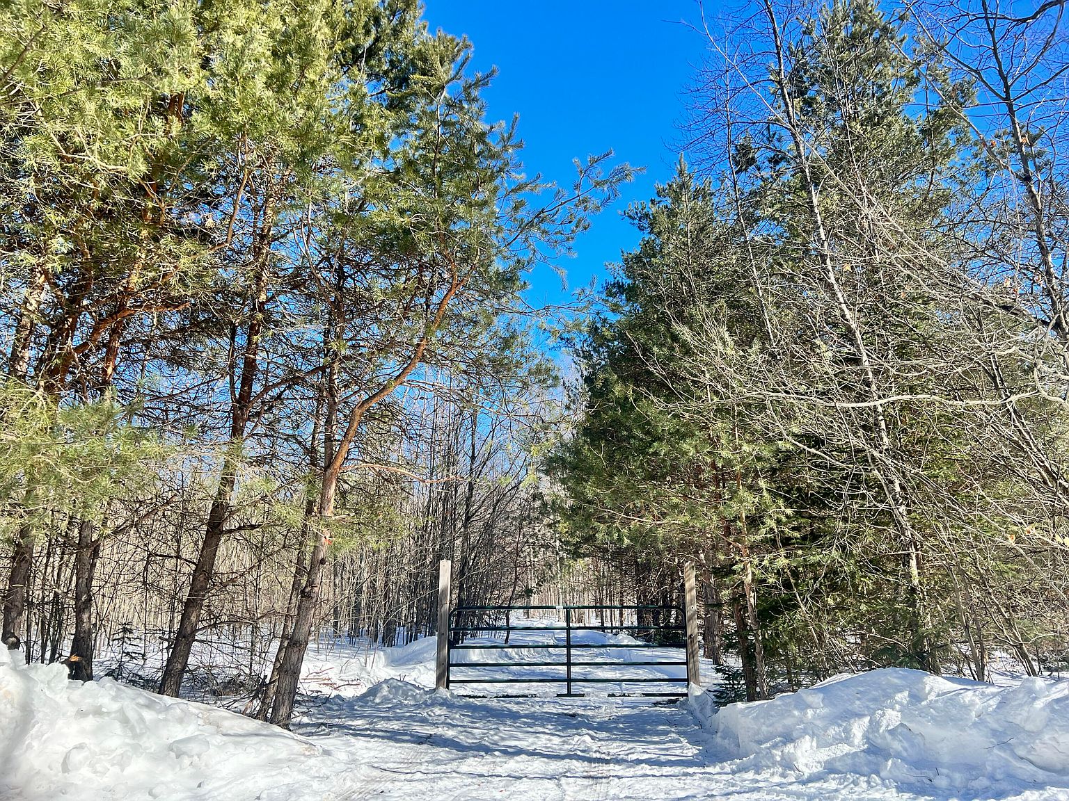 Harvey Rd, Alba, MI 49611 Zillow