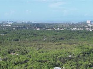 25313 Pinson Dr, Bonita Springs, FL 34135