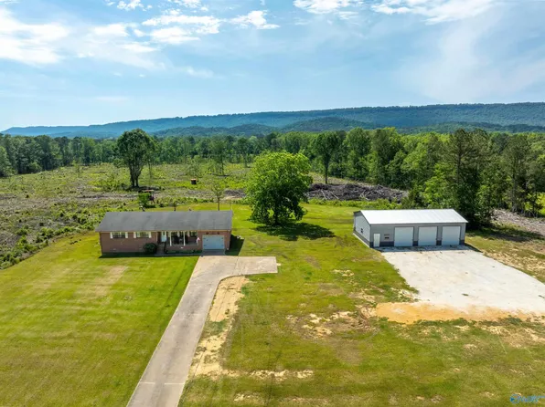 816 Wood St, Steele, AL 35987