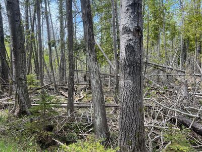 58 Rocky Rd, Pointe Aux Pins, MI, 49775