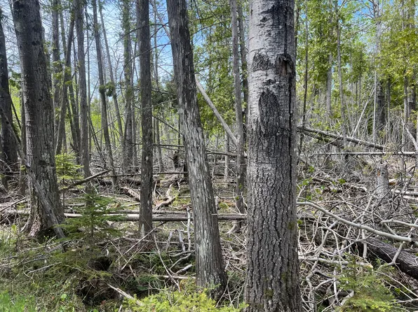 58 Rocky Rd, Pointe Aux Pins, MI 49775