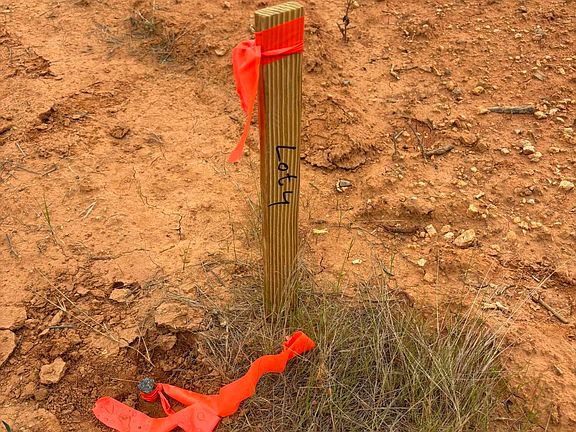 3rd image of 0 Burchette Rd Lot 3