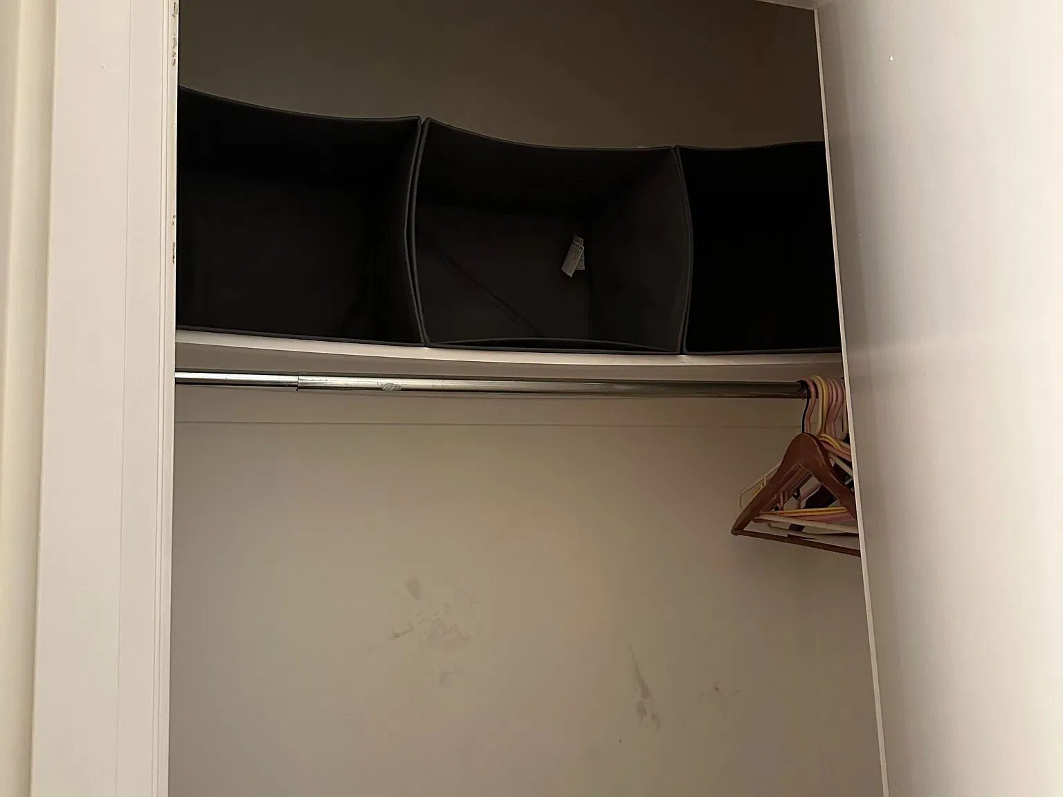 1 bed, $875 — Photo 3