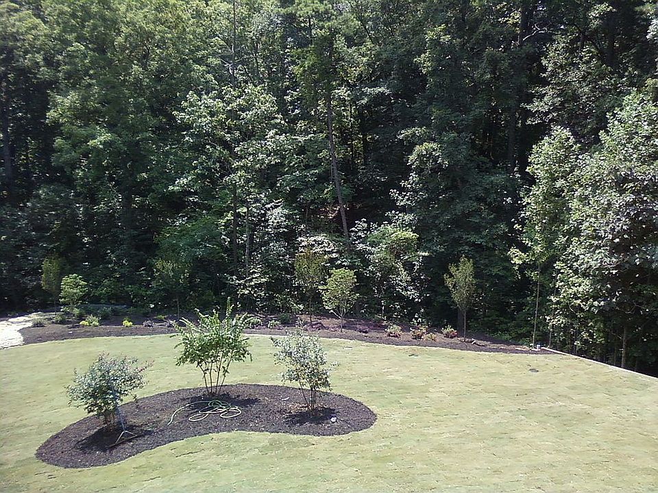 Landscaped Backyard