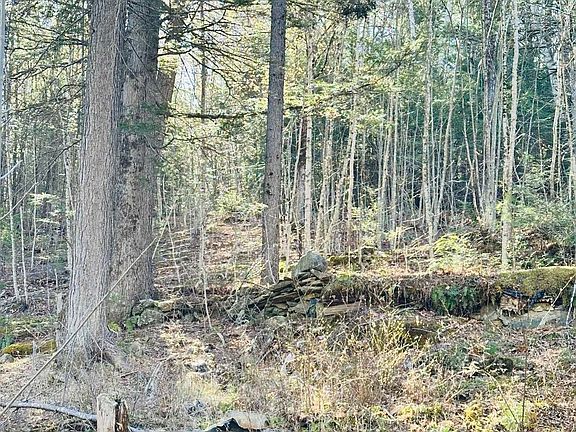 4th image of 0 Hunter Brook Road