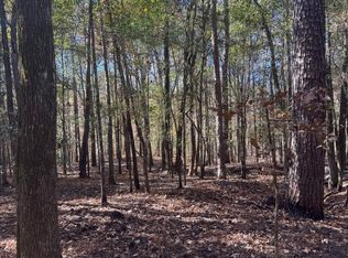 151 W Drummond Rd, West Pt, GA 31833