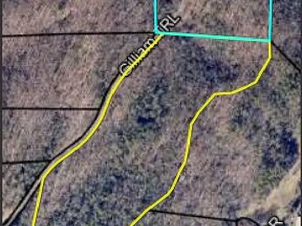 467 Gilliam Trl, Mineral Bluff, GA 30559