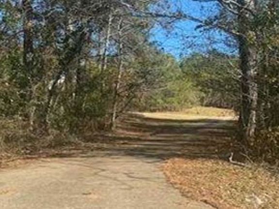 Exterior Neighborhood (street photo)