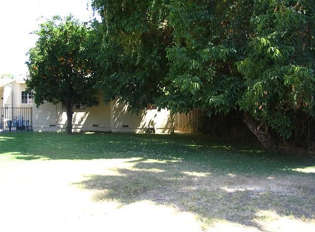 Huge Yard
