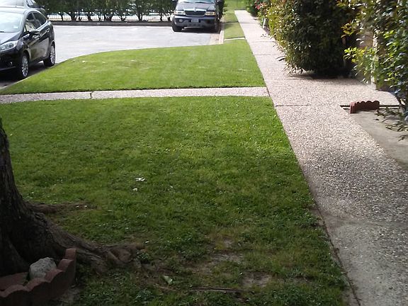 2nd image of 1831 Sherwood Forest St APT 24