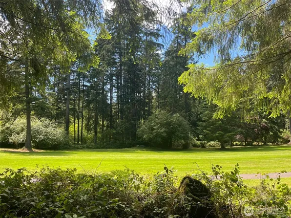 10602 Pioneer Drive, Anderson Island, WA 98303