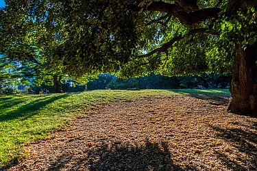 Rented by Brookfield (Funnel)