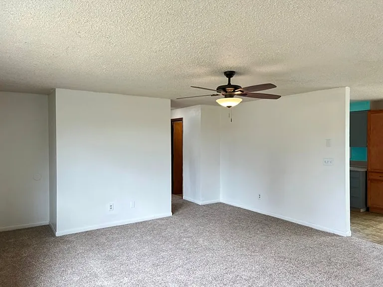 385 Dianne Ct — Photo 4