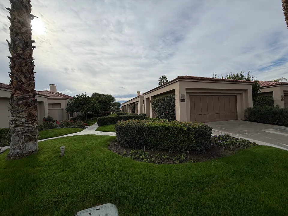 80685 Oak Tree