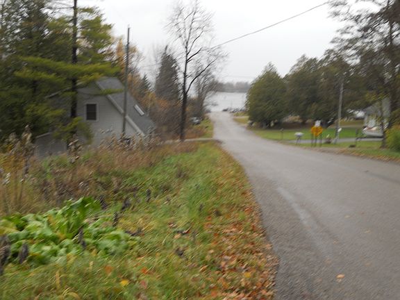 Carp Lake access down road