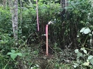 15410 Runyon Rd SE, Rainier, WA 98576