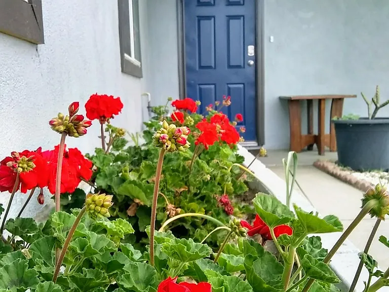 9030 Ramona Ave — Photo 1