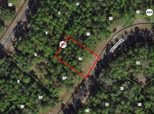 55 W Lynx Dr, Citrus Springs, FL 34434