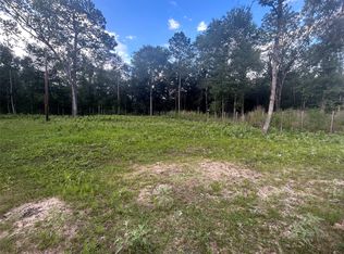 3 Judy Ln, Shepherd, TX 77371