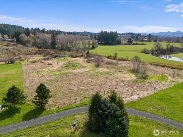 0 XX Lilly Wheaton Road, Raymond, WA 98577