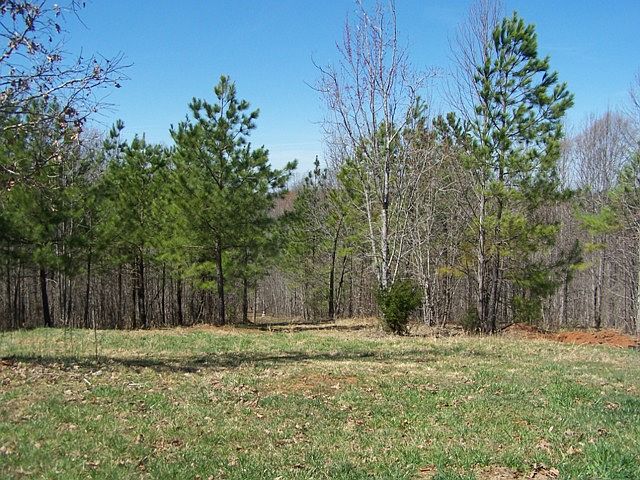 2nd image of 1209 Haven Ct